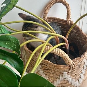 Meet your Posher, Fatima